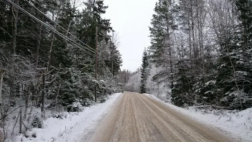 winter road.webp