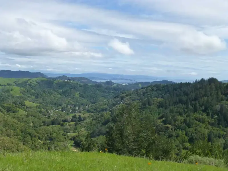 Looking East.webp