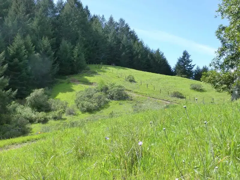 On the climb.webp