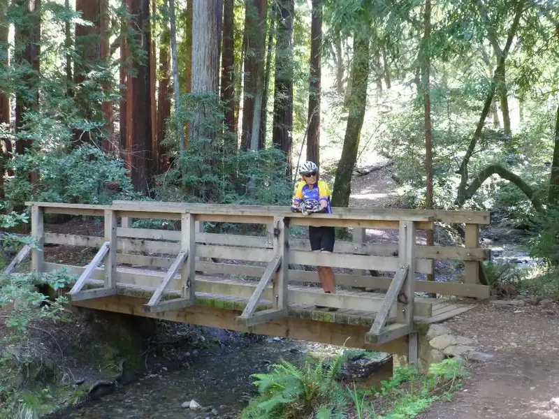 Beautiful spot.webp