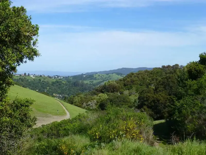Looking East.webp