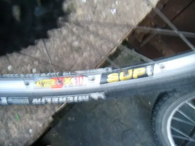 DSCF2078.webp