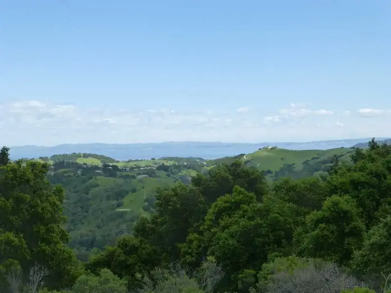 North SF Bay.webp