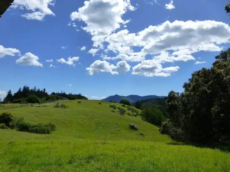 On the way up.webp