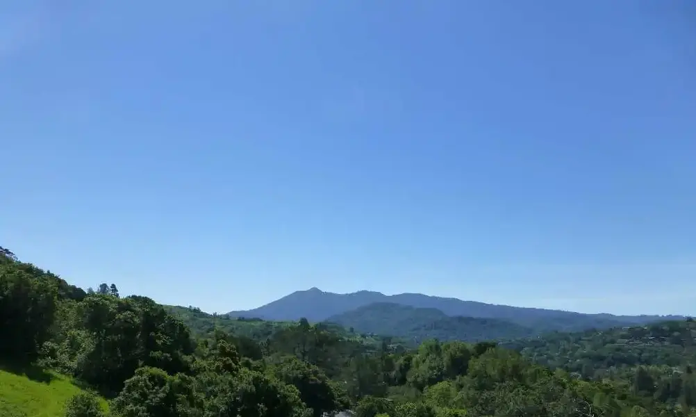 Blue sky.webp