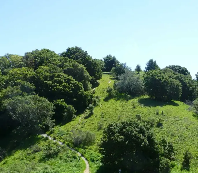 Steep one.webp