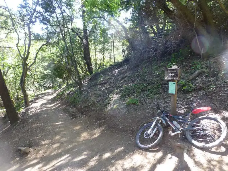 Trail Junction.webp