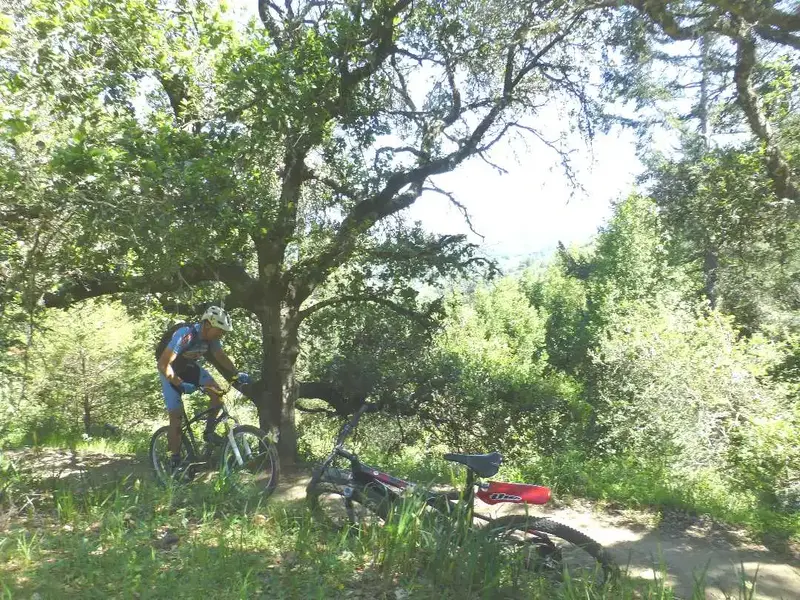Climbing.webp