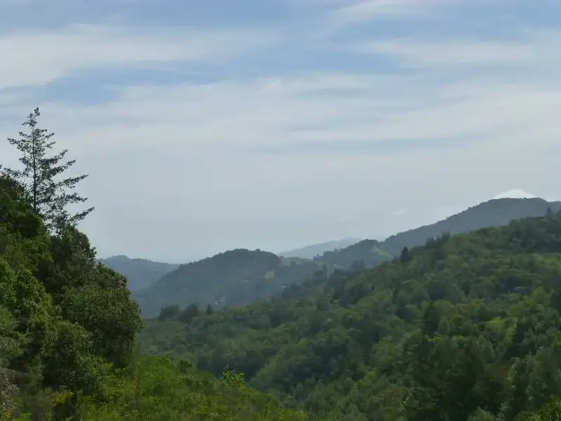 View from 900' today.webp