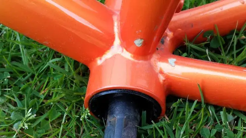 Orange_5.webp
