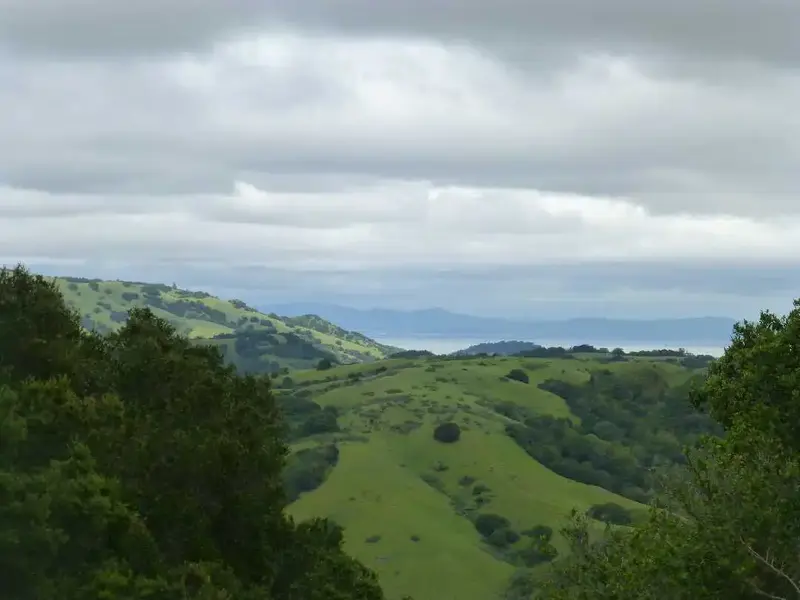 The view.webp
