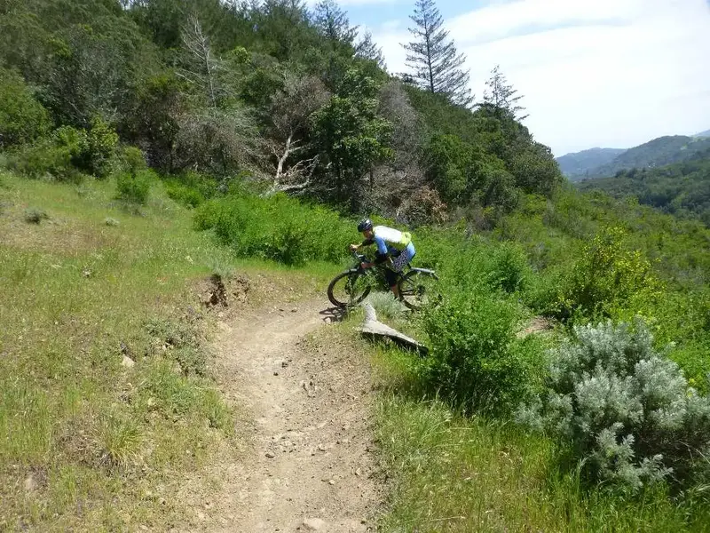 Cranking hard up the turn.webp