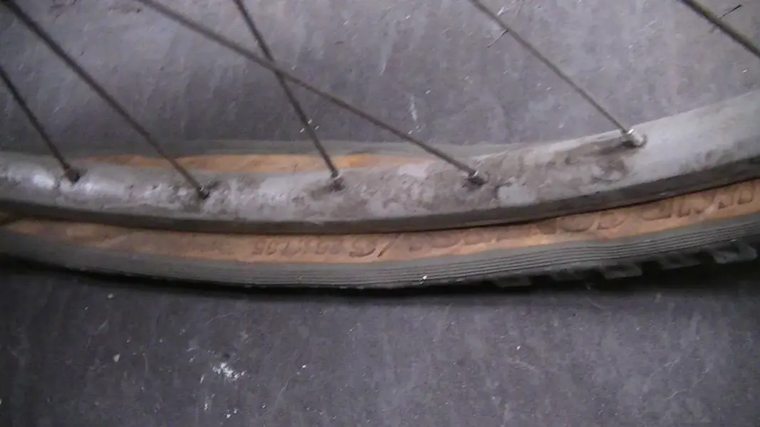 bici16.webp