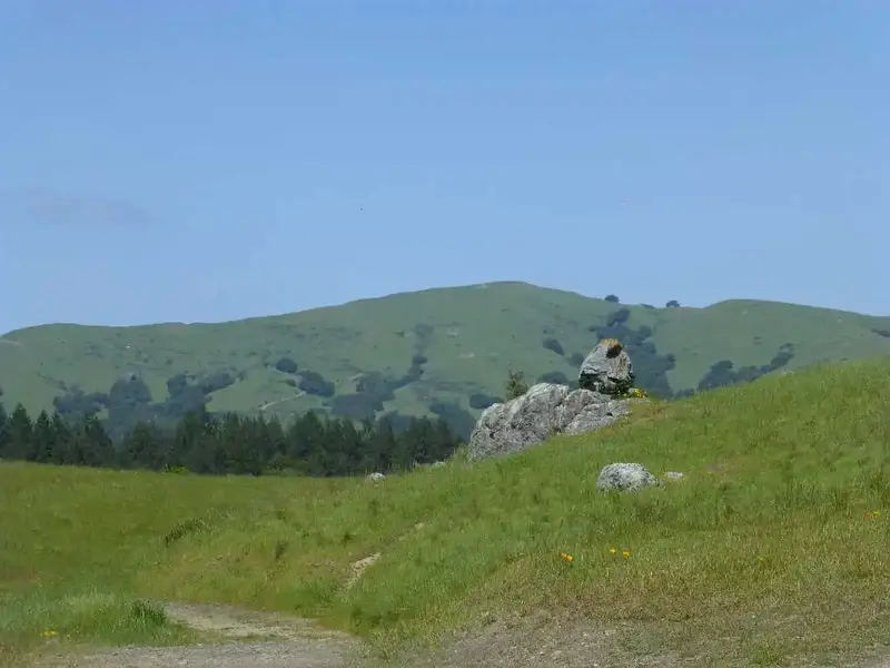 Loma Alta.webp