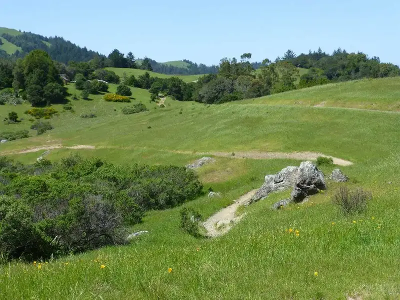Serpentine Trail.webp