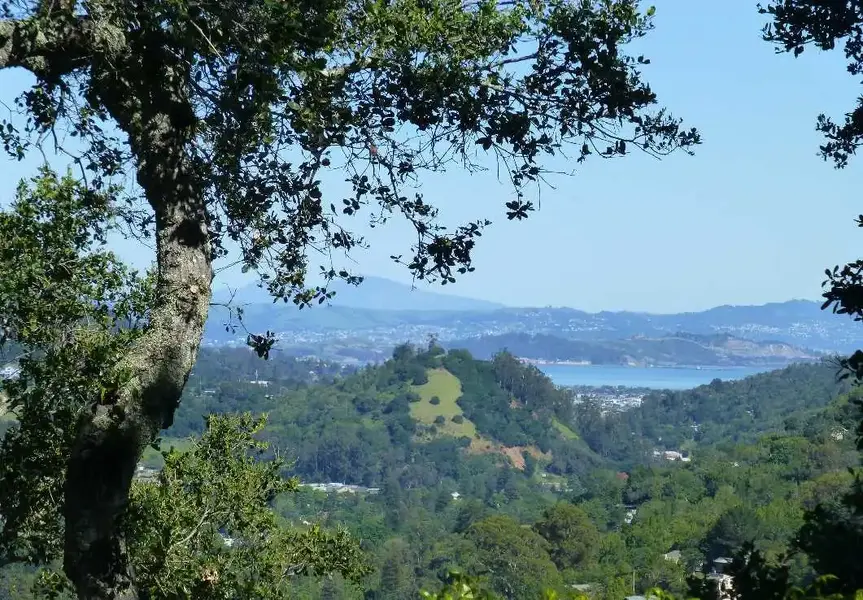 From 800' up.webp