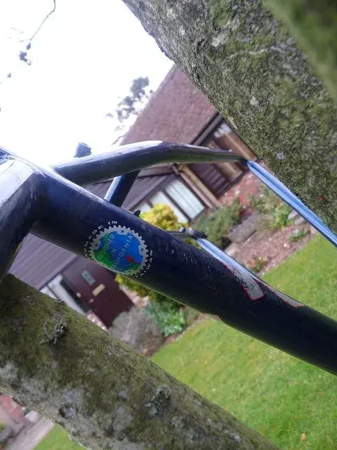 Spesh Rockhopper Comp FS frame 008.webp
