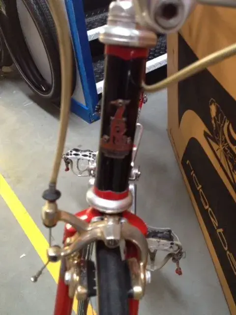 Raleigh5.webp