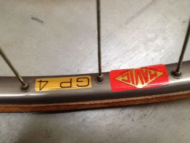 Raleigh7.webp