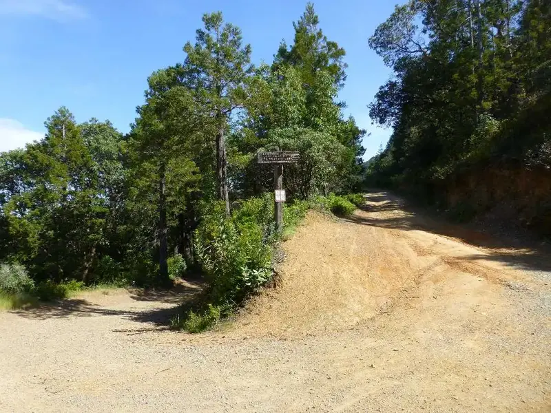 On Eldridge Grade.webp