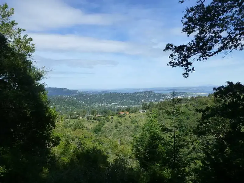 On the way up.webp