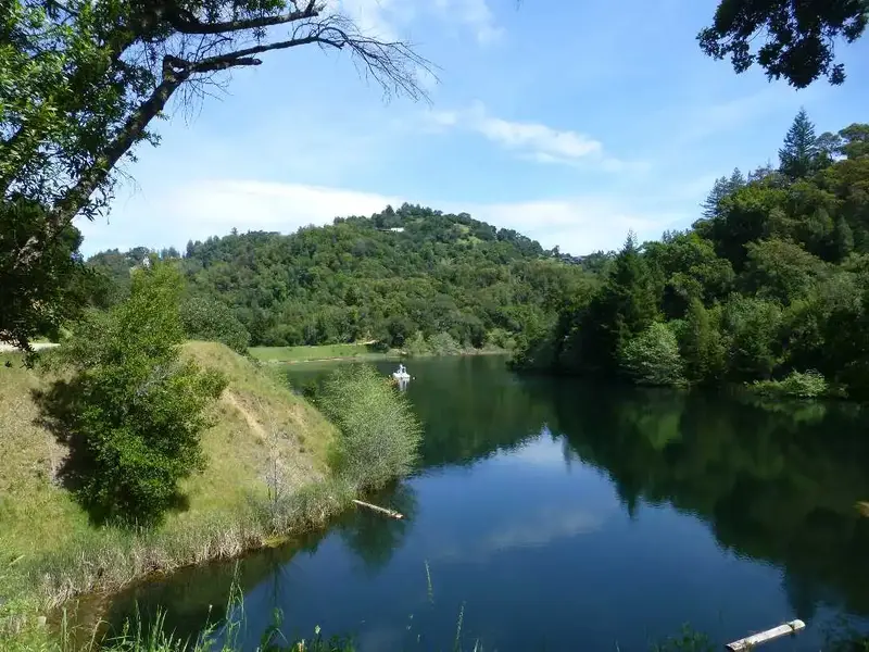 Phoenix Lake.webp