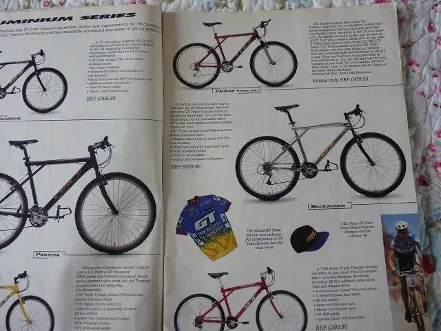 Bikenet cat 002.webp