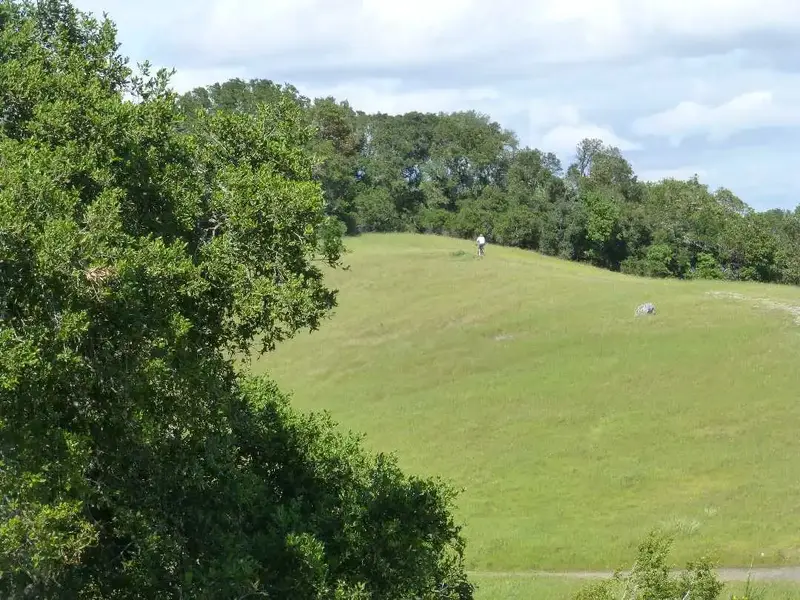 Climbing.webp