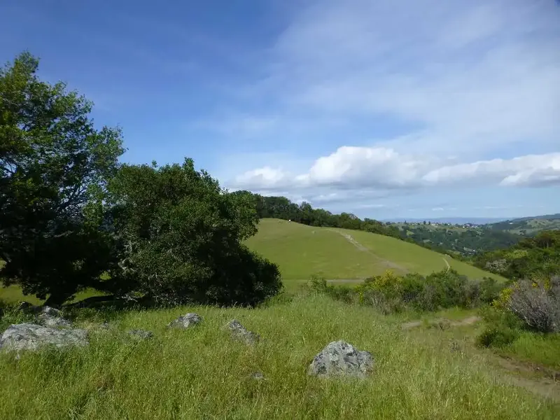 Looking East.webp