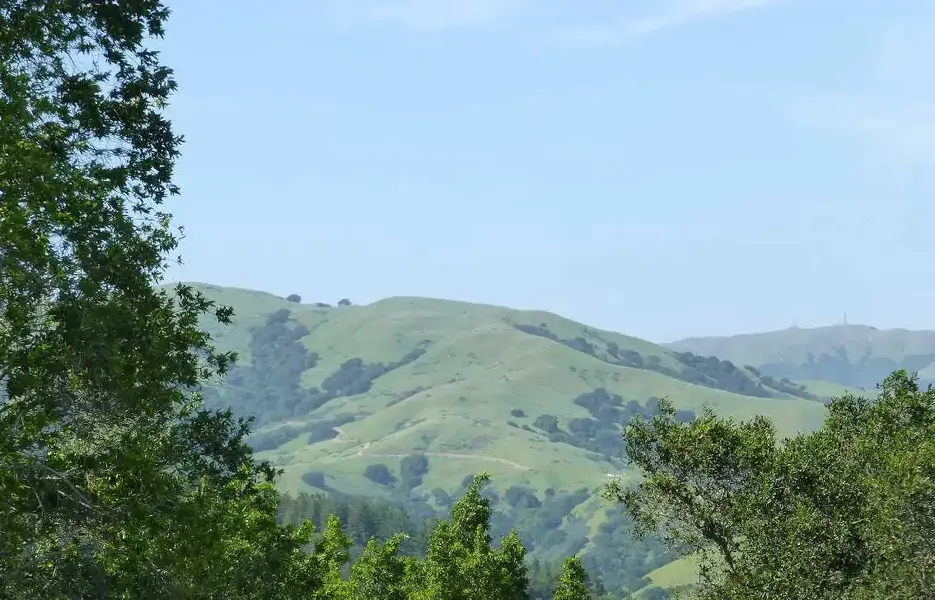 Looking North.webp