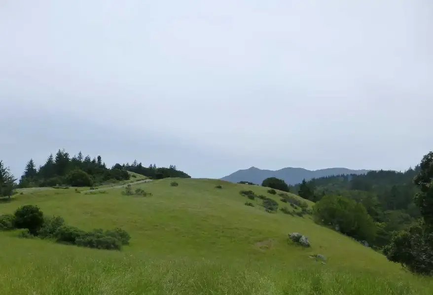 Climbing.webp