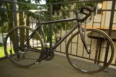 IMGP0004.webp