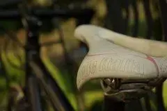 IMGP0018.webp