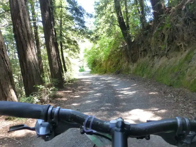 On the descent.webp