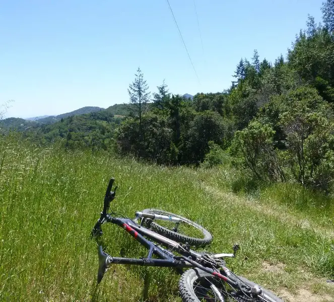 At the top.webp