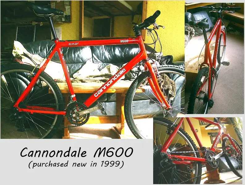 cannondale-m600-views.webp