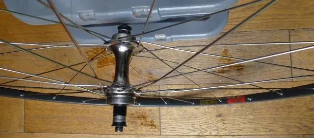 ft wheel.webp