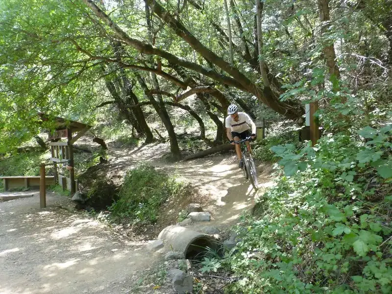Bottom of Alchemist trail.webp