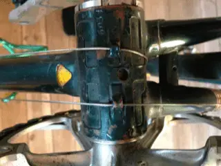 image.webp