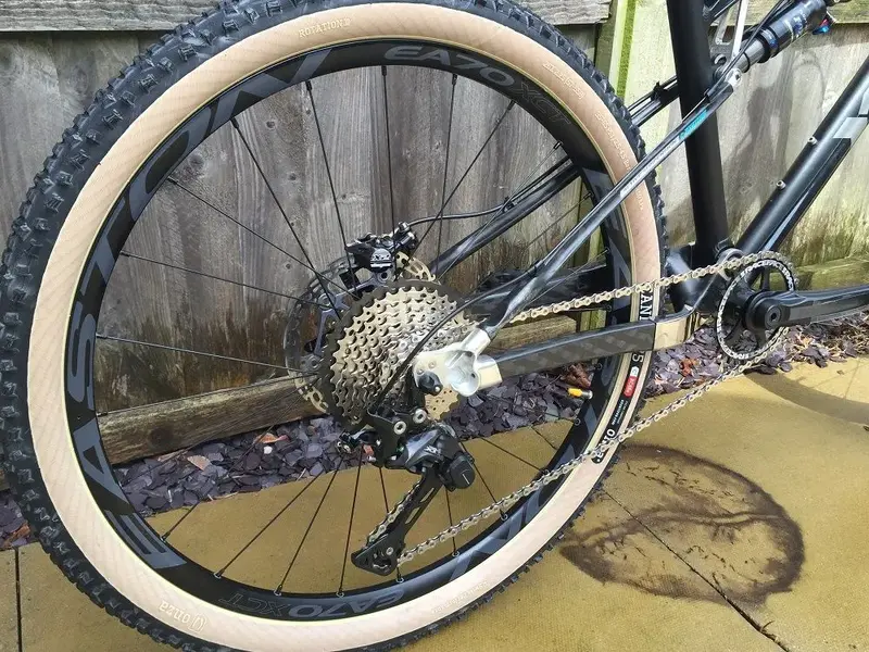 Rear triangle.webp