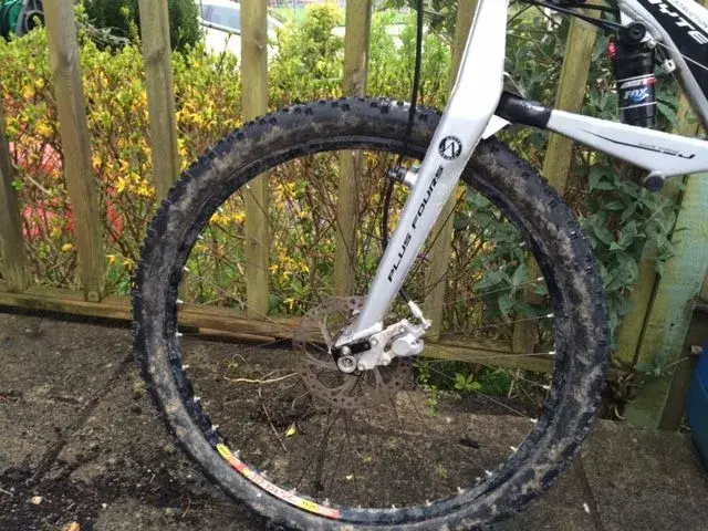 Front Forks.webp