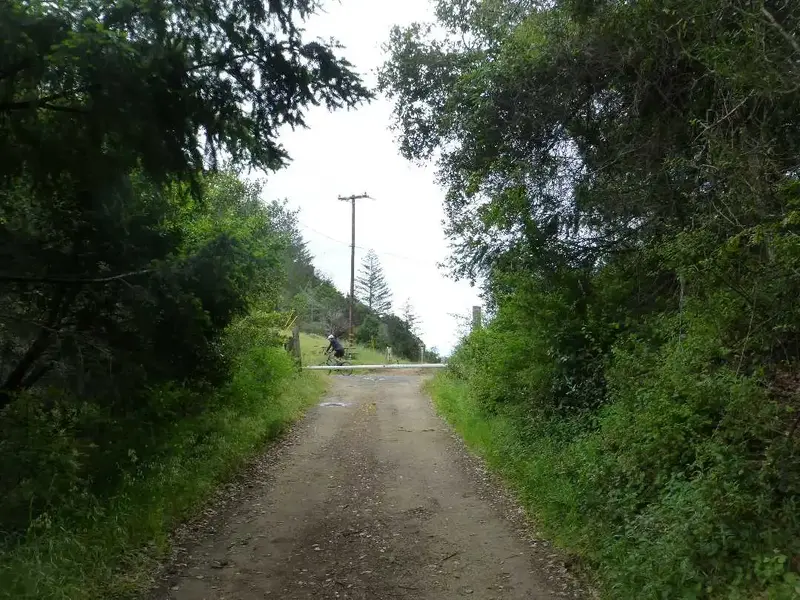 Tamarancho.webp