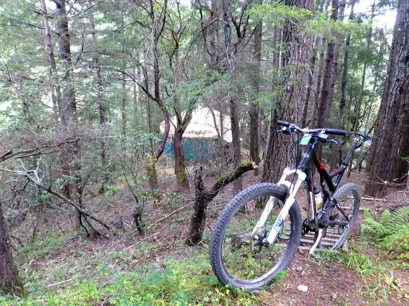 Fairfax Yurt.webp
