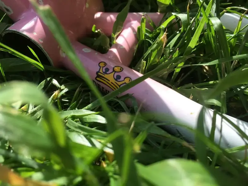 26971114595_e2dafba0d5_b.webp