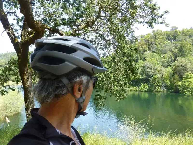 Phoenix Lake.webp