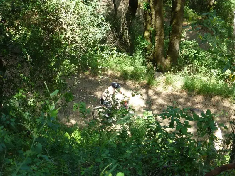 Climbing.webp