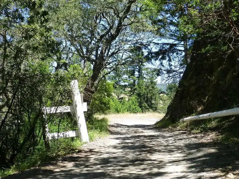 Iron Springs Road.webp