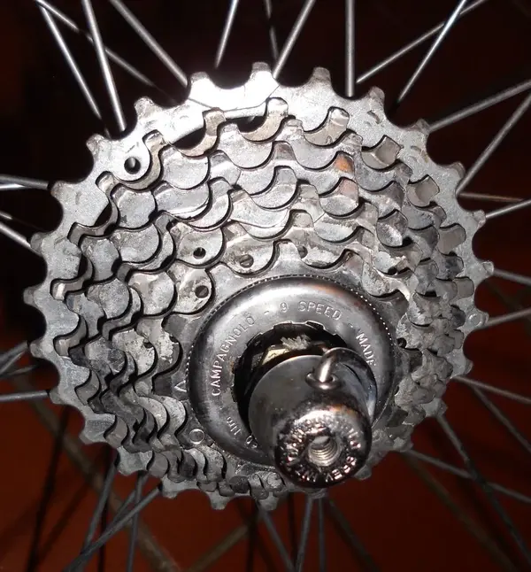campy post759.webp