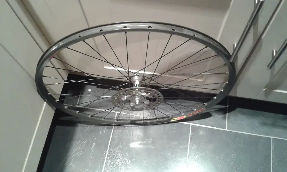 1wheel.webp