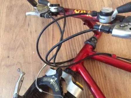 image_1.webp